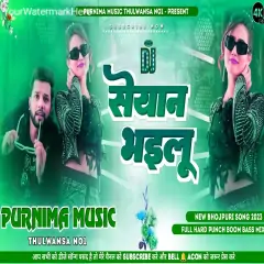 Seyan Bhailu Neelkamal Bhojpuri DJ Remix Song Hard Punch Bass Mix Purnima Music