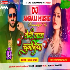 Teri Laal Chunariya Dj Song | Pawan Singh Dj Remix Song 2024